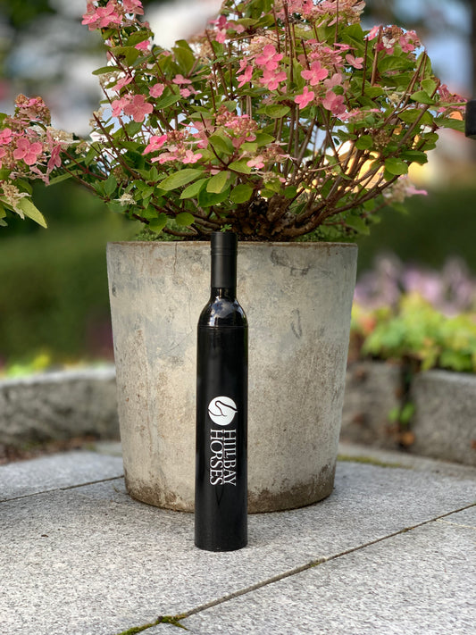 Umbrella in winebottle