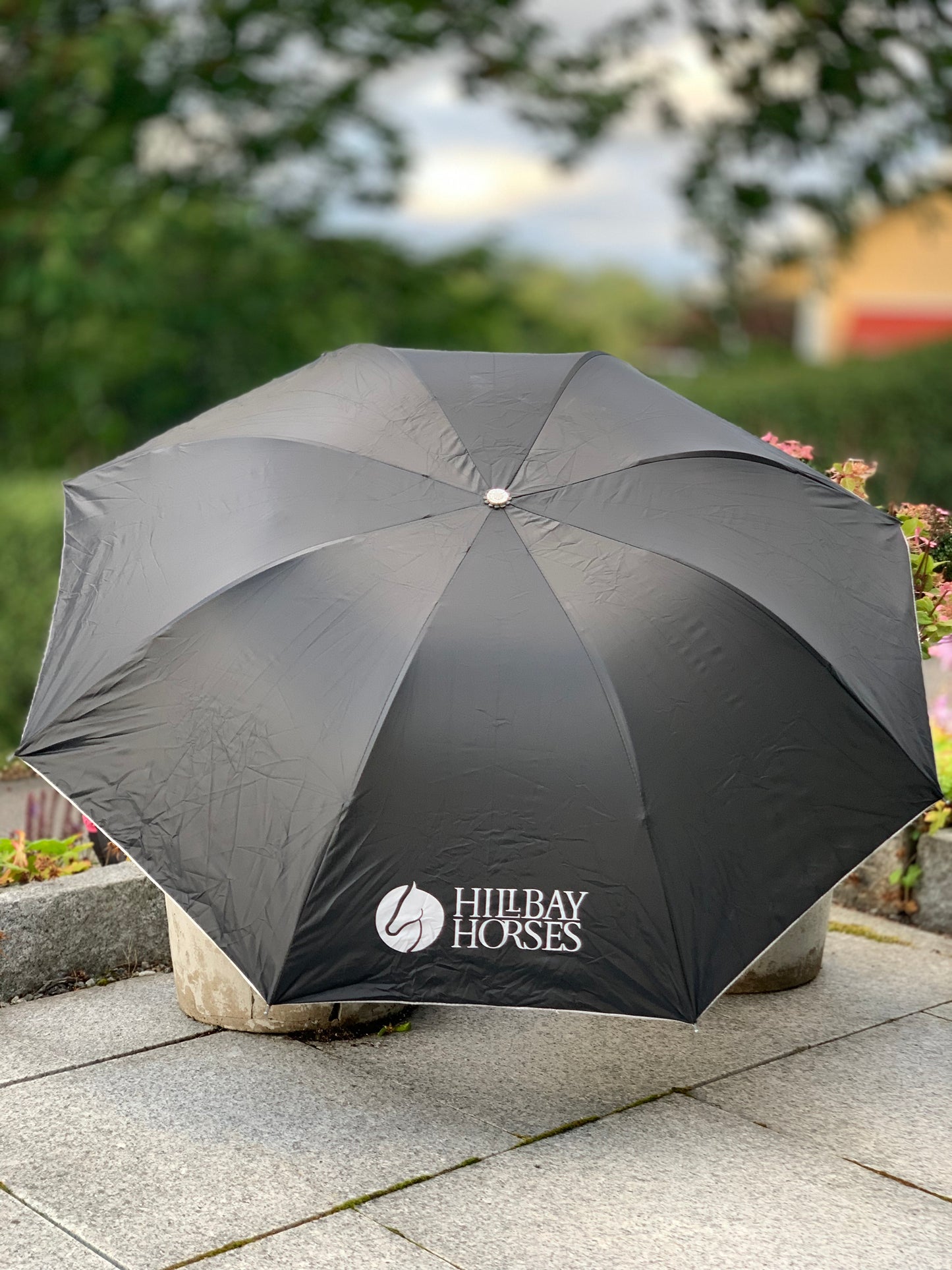 Umbrella in winebottle