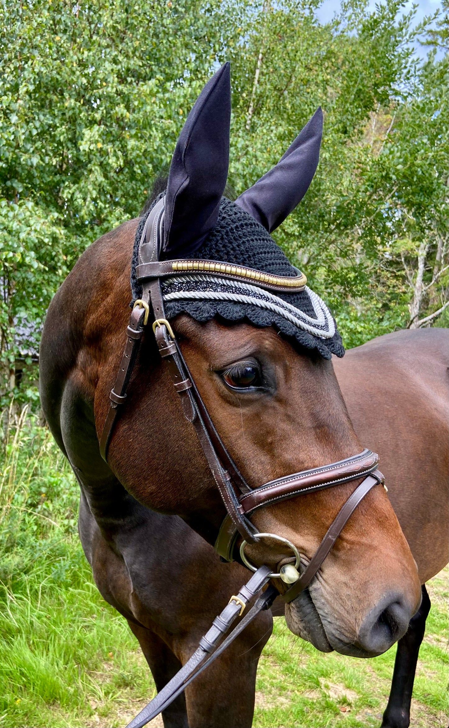 Hästhuva