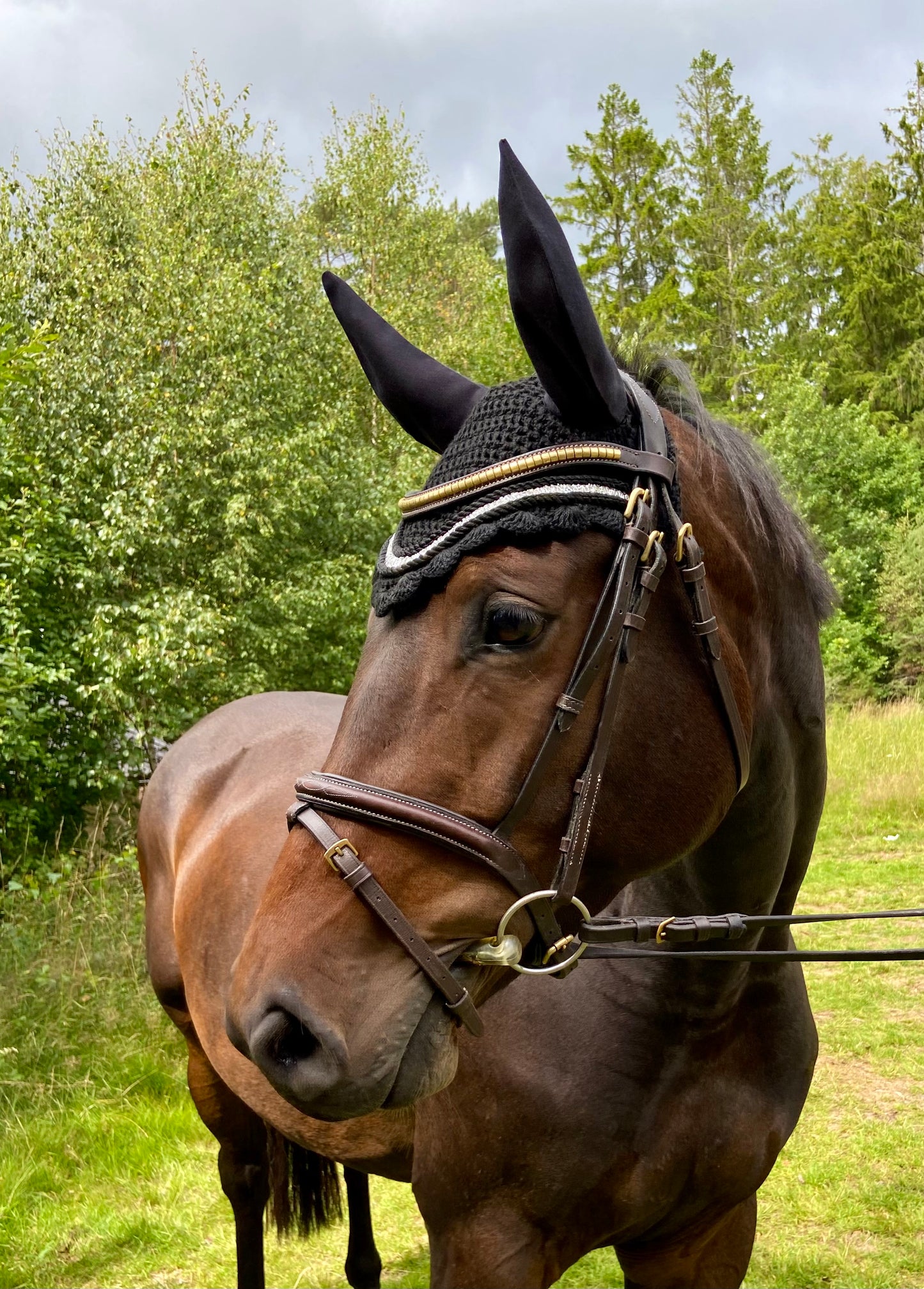 Hästhuva