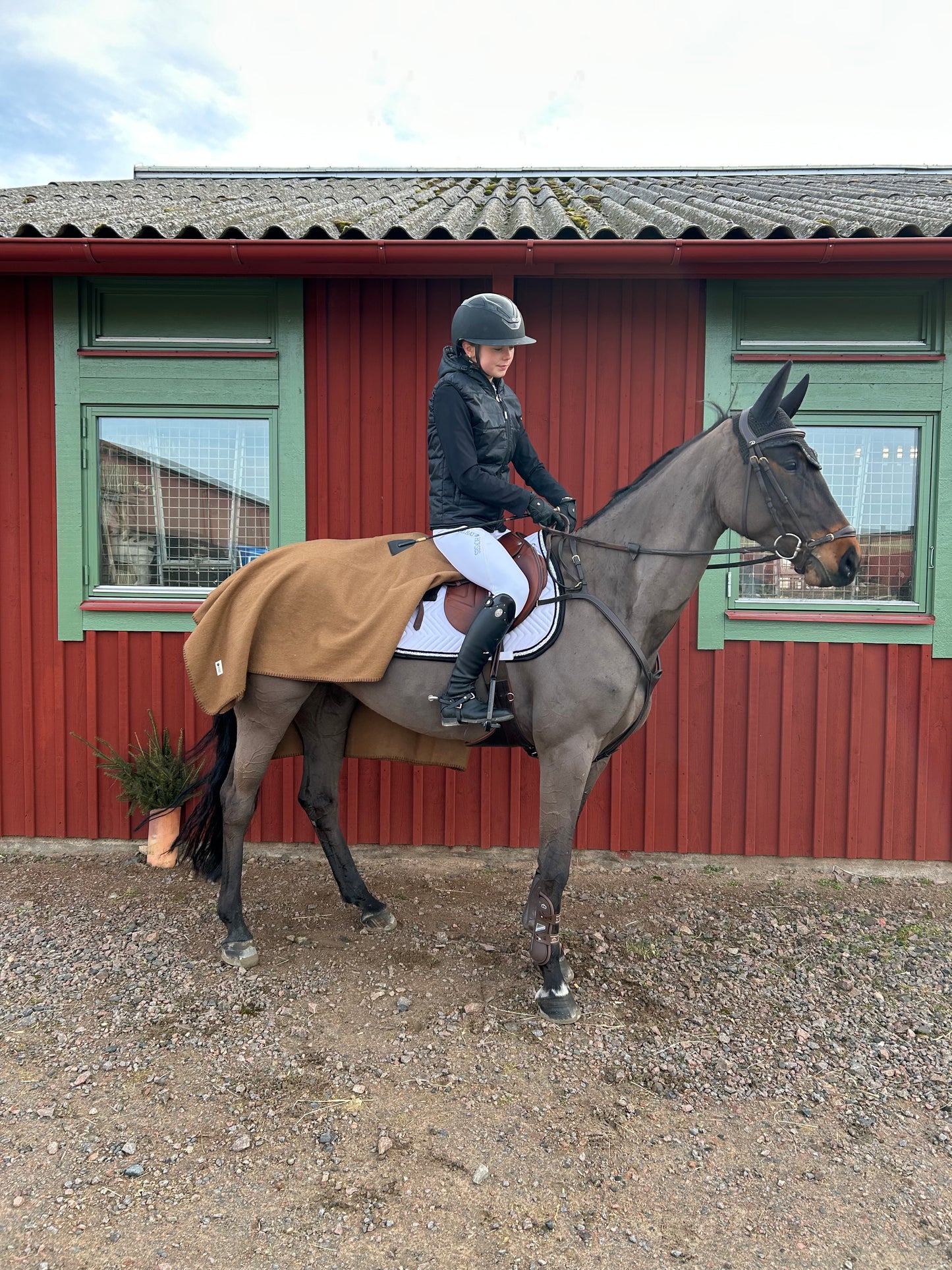 Stallfilt i ull