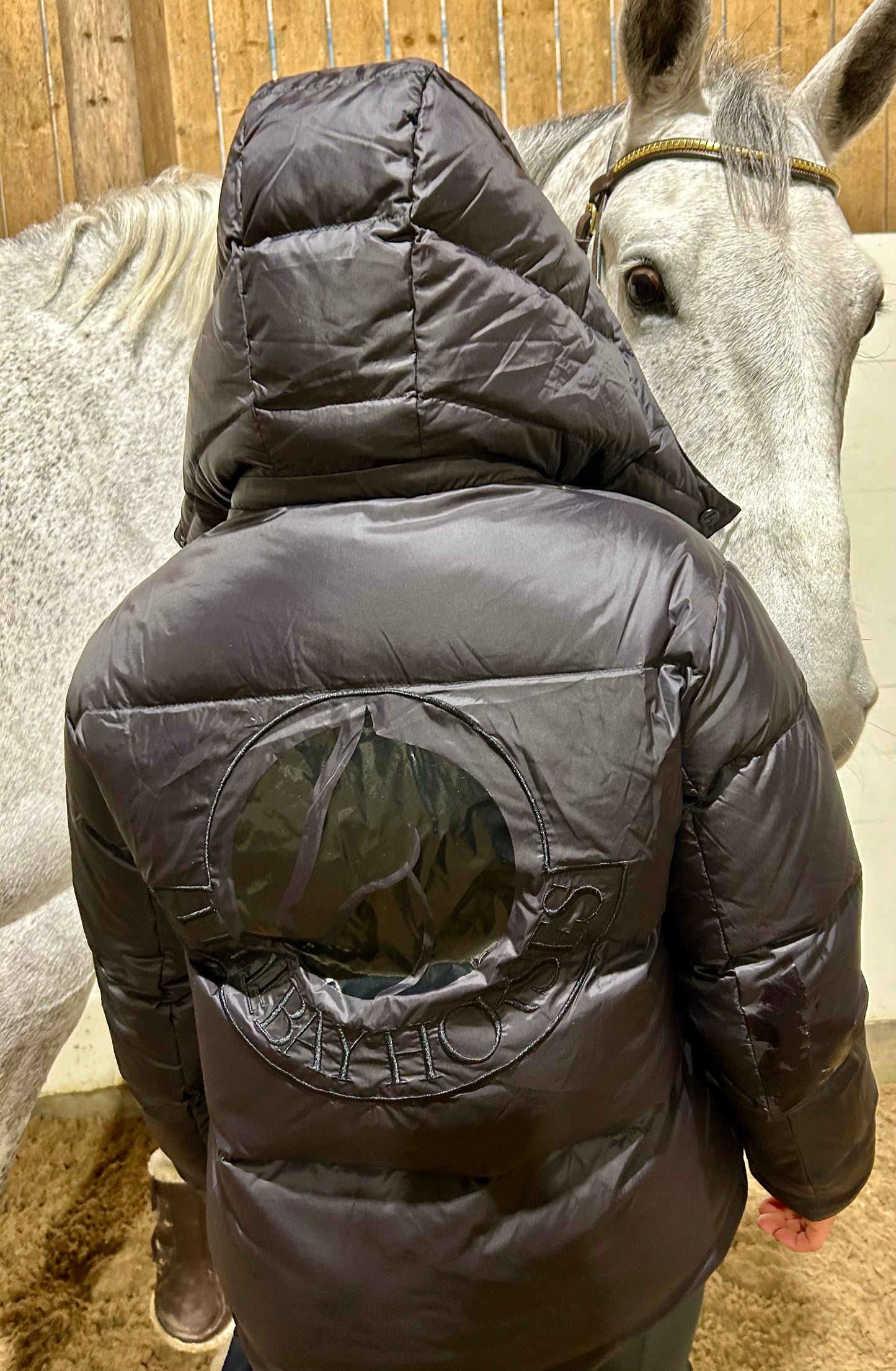 Limited edition - Exclusive Down Jacket
